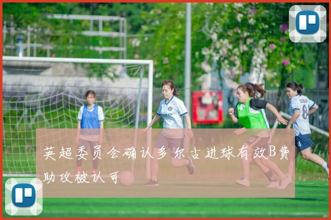 英超委员会确认多尔古进球有效B费助攻被认可